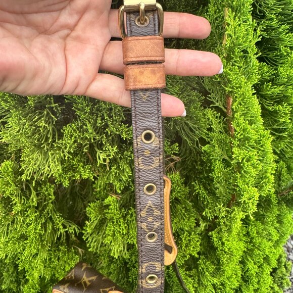 Louis Vuitton Monogram Canvas Amazone Crossbody Bag - Picture 17 of 17